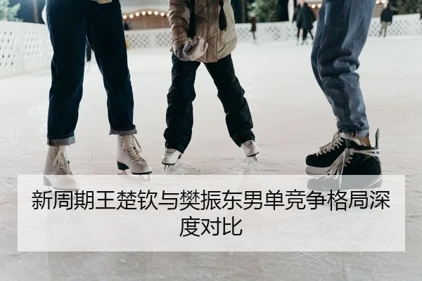 新周期王楚钦与樊振东男单竞争格局深度对比